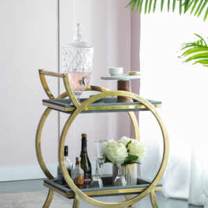 Sarcelle modern bar cart