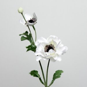 TheShowroom Furniture Cream Anemone