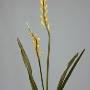 Lori Honey Suckle Spray Blooms