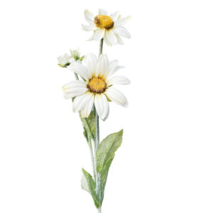 Margiet Spray