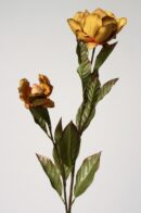 TheShowroom Furniture Dark Yellow Magnolia