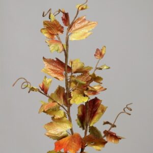 Grapevine Leaf