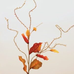 Orange Tropical Salix Spray
