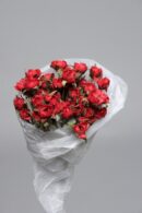 Theshowroom Furniture Red Mini Rose Flower