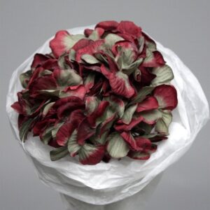 Theshowroom Furniture Burgundy Hortensia Flower