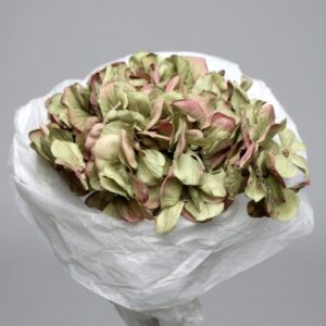 Theshowroom Furniture Mauve Hortensia Flower