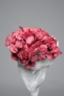 Theshowroom Furniture Pink Hortensia Flower