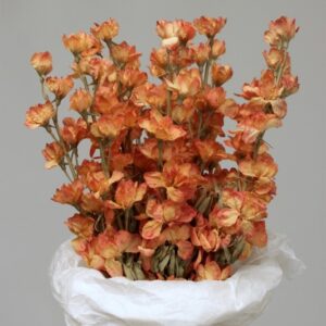 Annie Flowers