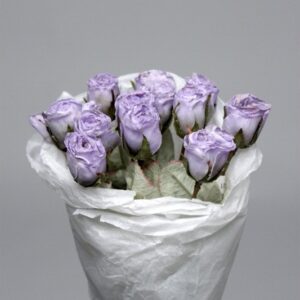 Blue Rose