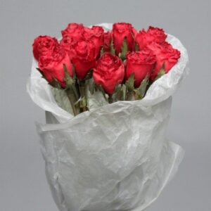 Red Rose