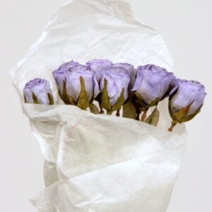 Blue Rose 45CM