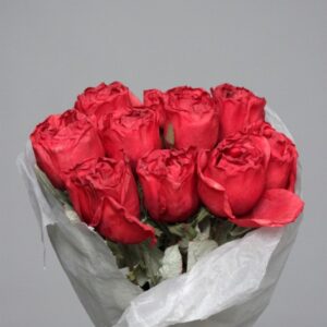 Big Red Rose