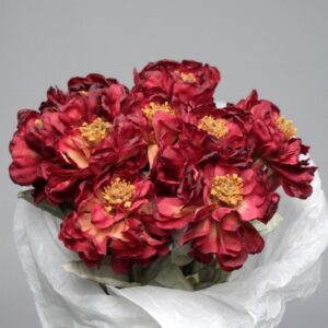 ZINNIA BURGUNDY