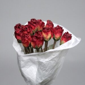 Burgundy Rose Pick