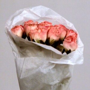 Pink Rose Pick