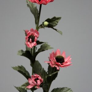 Rebecca Blooms