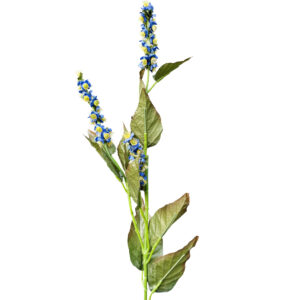 Blue Revina Blossom