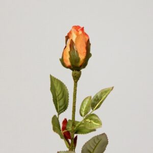 Stephanie Rosebud
