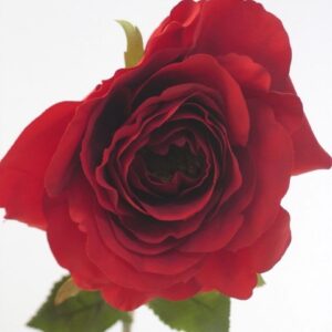 Country Rose Spray Red - Realistic artificial red rose bloom.