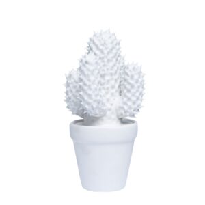 Sonoran Cacti-2
