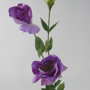 Lisianthus Flower