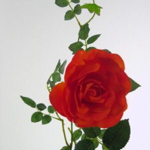 ROSE SPRAY FLAME