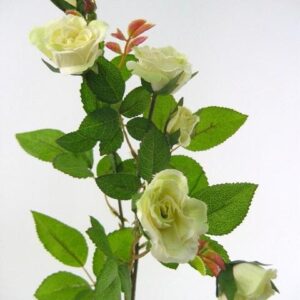 White Rose Bunch