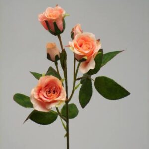Pink Rose Bouquet