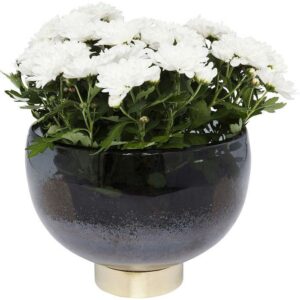 Gris Vase