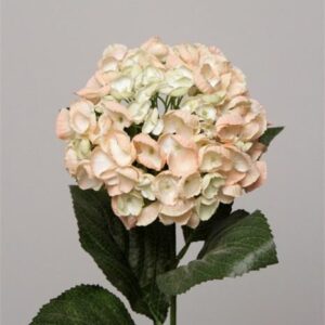 Hydrangea Spray