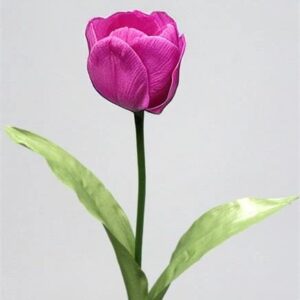 Tulip Peony-Pink