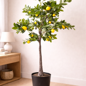 Lemon Orchard Tree