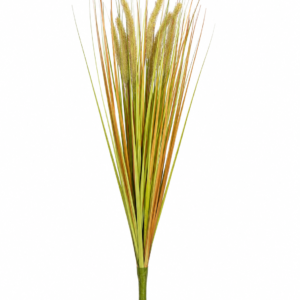 Single  Foxtail Reed-Golden