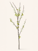Sakura Branch-White